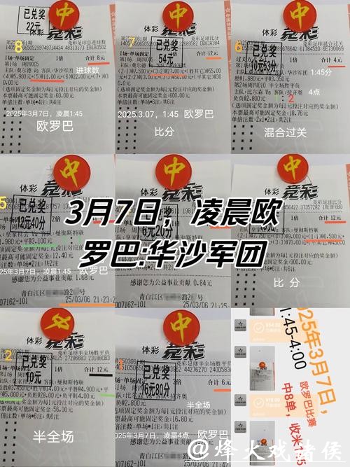 世界杯投注经典案例与成功策略